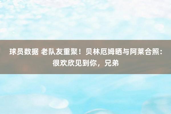 球员数据 老队友重聚！贝林厄姆晒与阿莱合照：很欢欣见到你，兄弟