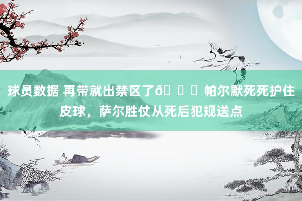 球员数据 再带就出禁区了😂帕尔默死死护住皮球，萨尔胜仗从死后犯规送点