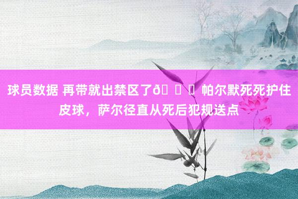 球员数据 再带就出禁区了😂帕尔默死死护住皮球，萨尔径直从死后犯规送点