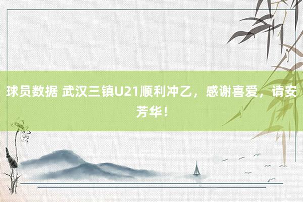 球员数据 武汉三镇U21顺利冲乙，感谢喜爱，请安芳华！