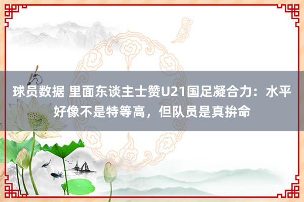 球员数据 里面东谈主士赞U21国足凝合力：水平好像不是特等高，但队员是真拚命