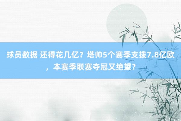 球员数据 还得花几亿？塔帅5个赛季支拨7.8亿欧，本赛季联赛夺冠又绝望？