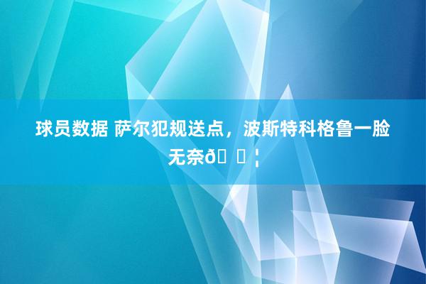 球员数据 萨尔犯规送点，波斯特科格鲁一脸无奈😦