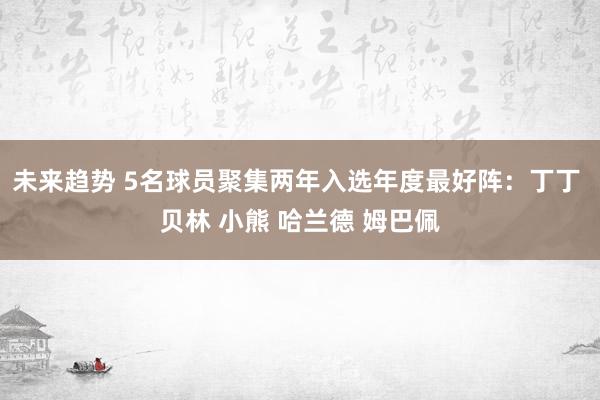 未来趋势 5名球员聚集两年入选年度最好阵：丁丁 贝林 小熊 哈兰德 姆巴佩